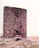 Vista de la Torre 
de la Higuera